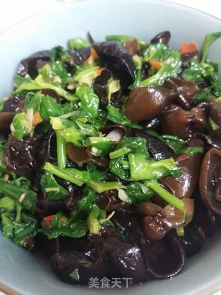 芹菜叶拌木耳的做法步骤:11