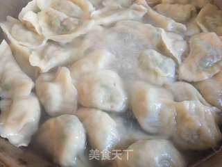 立冬虾皮韭菜水饺的做法步骤:4