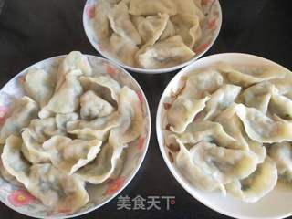 立冬虾皮韭菜水饺的做法步骤：7