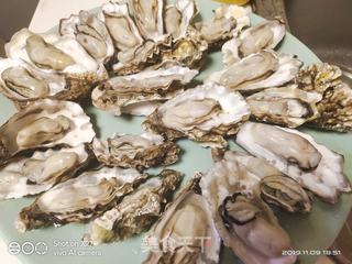 蒜蓉粉丝生蚝的做法步骤:2