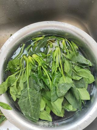 鸡蛋手擀面的做法步骤：7