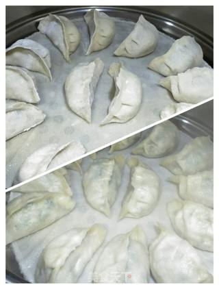 白萝卜韭菜馅蒸饺的做法步骤:8