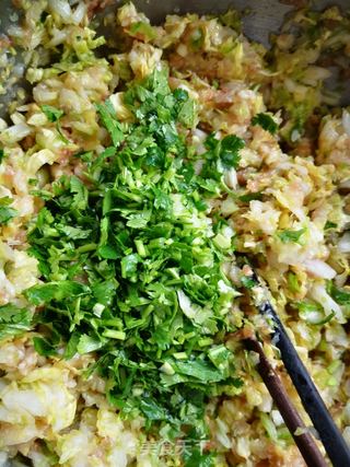 猪肉白菜蒸包的做法步骤:20
