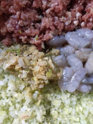 白菜虾仁水饺的做法步骤：5