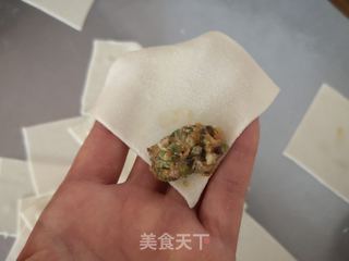 菜芯猪肉馄饨的做法步骤:11