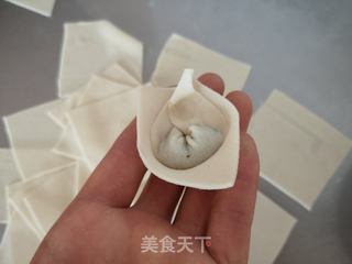 菜芯猪肉馄饨的做法步骤:12