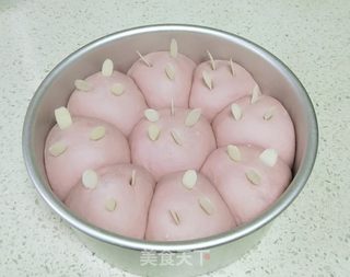 紫薯软面包的做法步骤:9