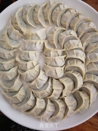猪肉韭菜饺子的做法步骤:18