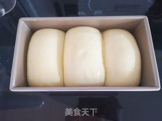 100%中种北海道吐司的做法步骤:10