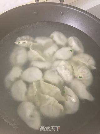 韭菜鸡蛋肉末饺子的做法步骤：12