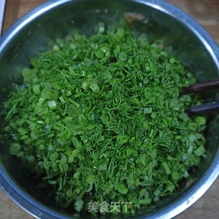 猪肉茴香饺子的做法步骤:5