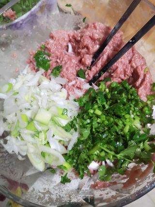 牛肉白菜饺子的做法步骤:9