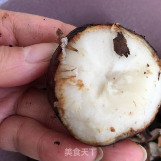苹果荸荠冰糖水的做法步骤：2