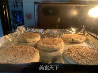 萝卜丝韭菜烧饼的做法步骤：13