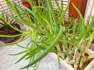 家常快手小葱炒鸡蛋的做法步骤：1