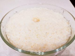 自酿甜酒(醪糟)的做法步骤:8