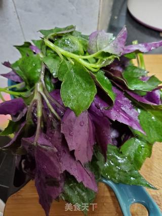 拌紫贝菜的做法步骤:2