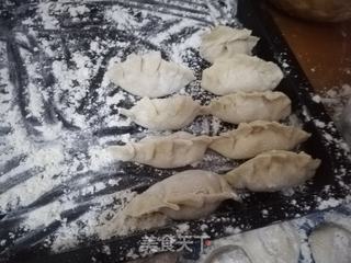 白萝卜虾仁馅饺子的做法步骤:13