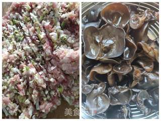 彭豆带你做白菜猪肉馅饺子(内附煎饺做法)的做法步骤:4