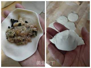 彭豆带你做白菜猪肉馅饺子(内附煎饺做法)的做法步骤:11