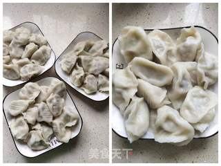 彭豆带你做白菜猪肉馅饺子(内附煎饺做法)的做法步骤:14