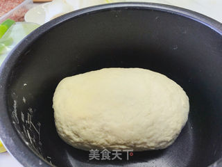 猪肉白菜煎饺的做法步骤:2
