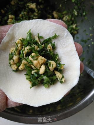 茴香鸡蛋饺子的做法步骤:7