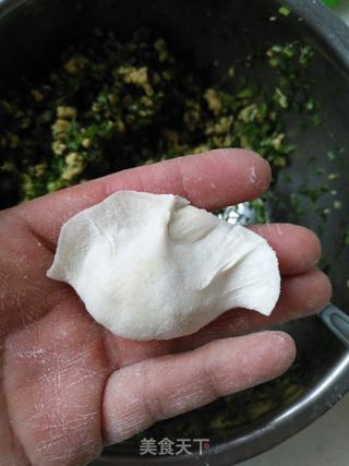 茴香鸡蛋饺子的做法步骤:8