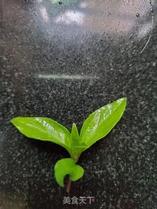 酸奶盆栽的做法步骤:6