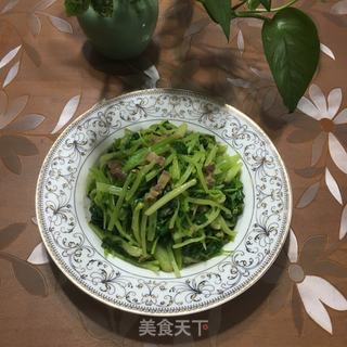 油渣炒香芹的做法步骤：8