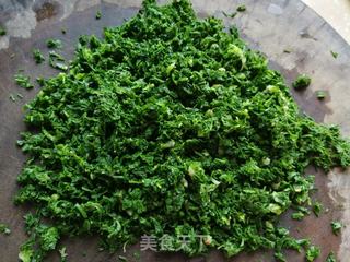荠菜蘑菇鲜肉饺的做法步骤:4