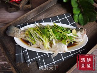 蒸鱼的最佳方法,简单5步别搞错,这样做出来的鱼肉鲜嫩又不腥的做法步骤:6