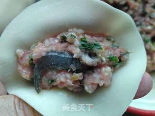 河虾饺子的做法步骤:4