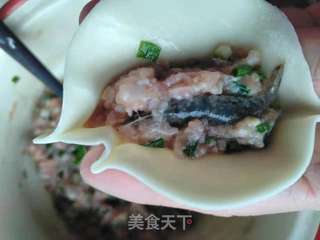 河虾饺子的做法步骤:5