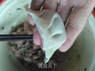 河虾饺子的做法步骤:6
