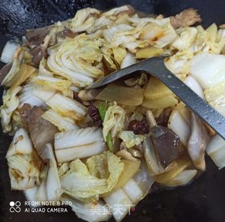 猪肉炖白菜的做法步骤:7