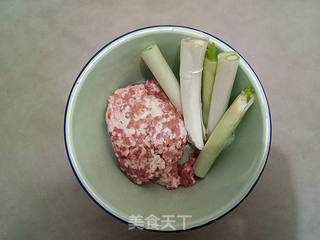 鲜肉包子的做法步骤:3