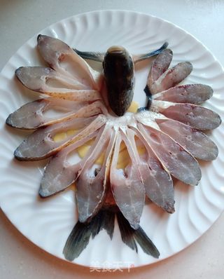 孔雀开屏的做法步骤:5