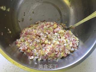 白菜猪肉煎饺的做法步骤:7