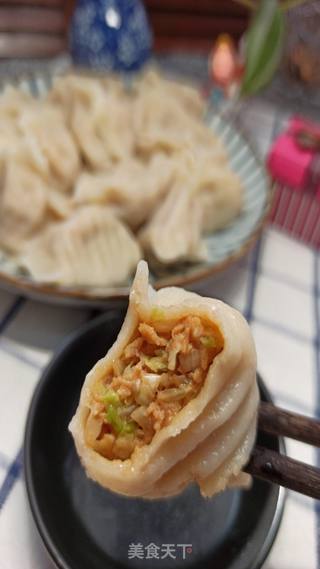 猪肉白菜饺子的做法步骤:12