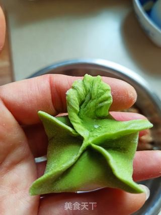 翡翠蒸饺的做法步骤:10