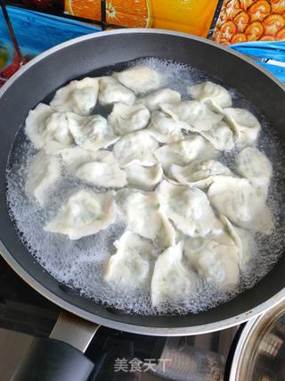 蘑菇韭菜猪肉水饺的做法步骤:11