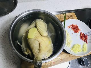 白切鸡的做法步骤：4