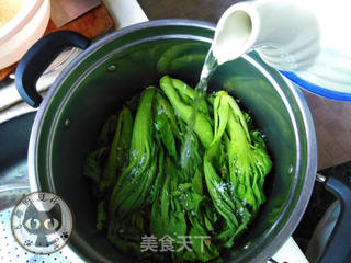 自制酸菜的做法步骤:4