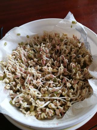 用电饭锅发豆芽的做法步骤:6