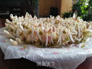 用电饭锅发豆芽的做法步骤:7