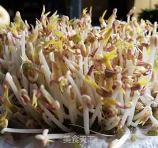 用电饭锅发豆芽的做法步骤:9