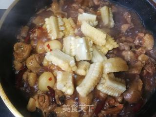 小土豆炖鸡块的做法步骤：15