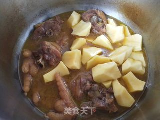 土鸡腿炖土豆的做法步骤：7