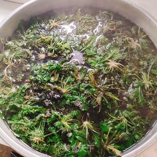 荠菜蒸包的做法步骤：6